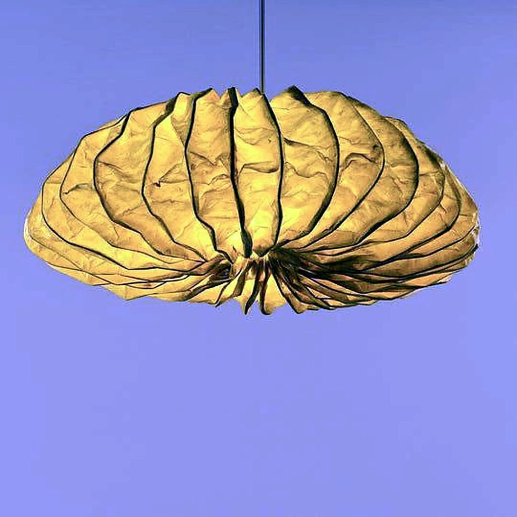 Banana Petal