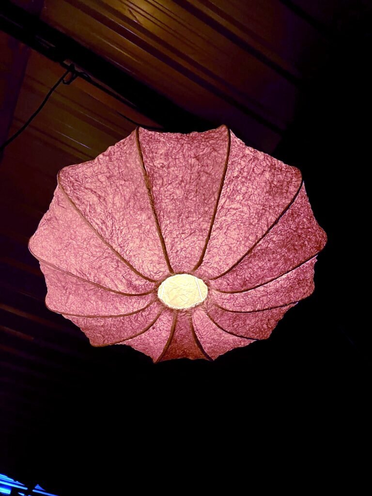 Amber Petal Bloom