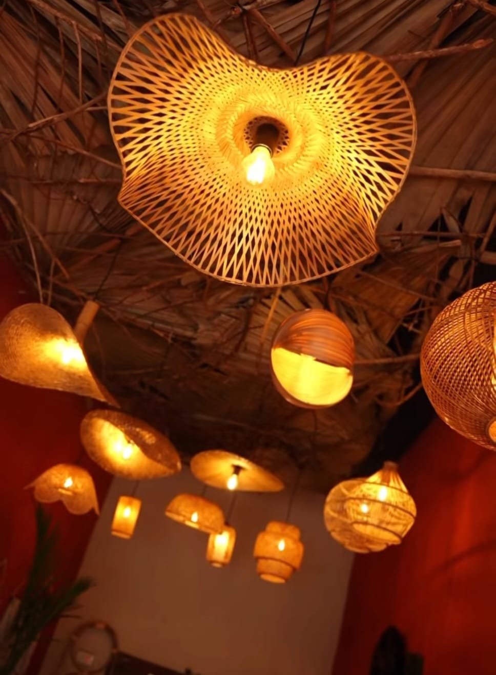 Bamboo Lights